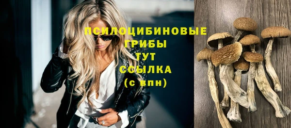 ECSTASY Лиски